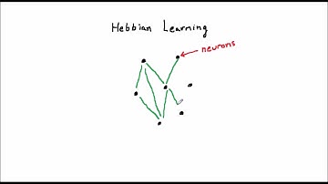 Artificial Neural Nets and Evolutionary Algorithms 8: Biology 7 - simple learning