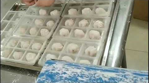Prawn Dumpling Machine 虾饺机蝦餃機