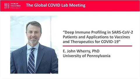 Dr. John Wherry: Deep Immune Profiling in SARS-CoV-2 Patients
