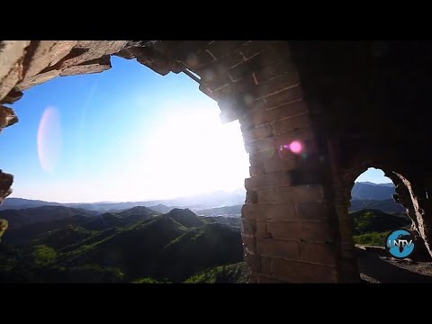 Vídeo: Genocidio Aviar. Cómo La Naturaleza Se Vengó De Los Chinos Por Los Gorriones - Vista Alternativa