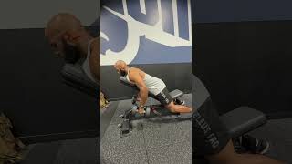 Dumbbell Chest Supported Row
