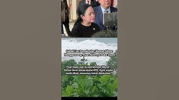 Geger DPR! Wacana Pemakzulan Gibran, Puan Akhirnya Angkat Bicara!