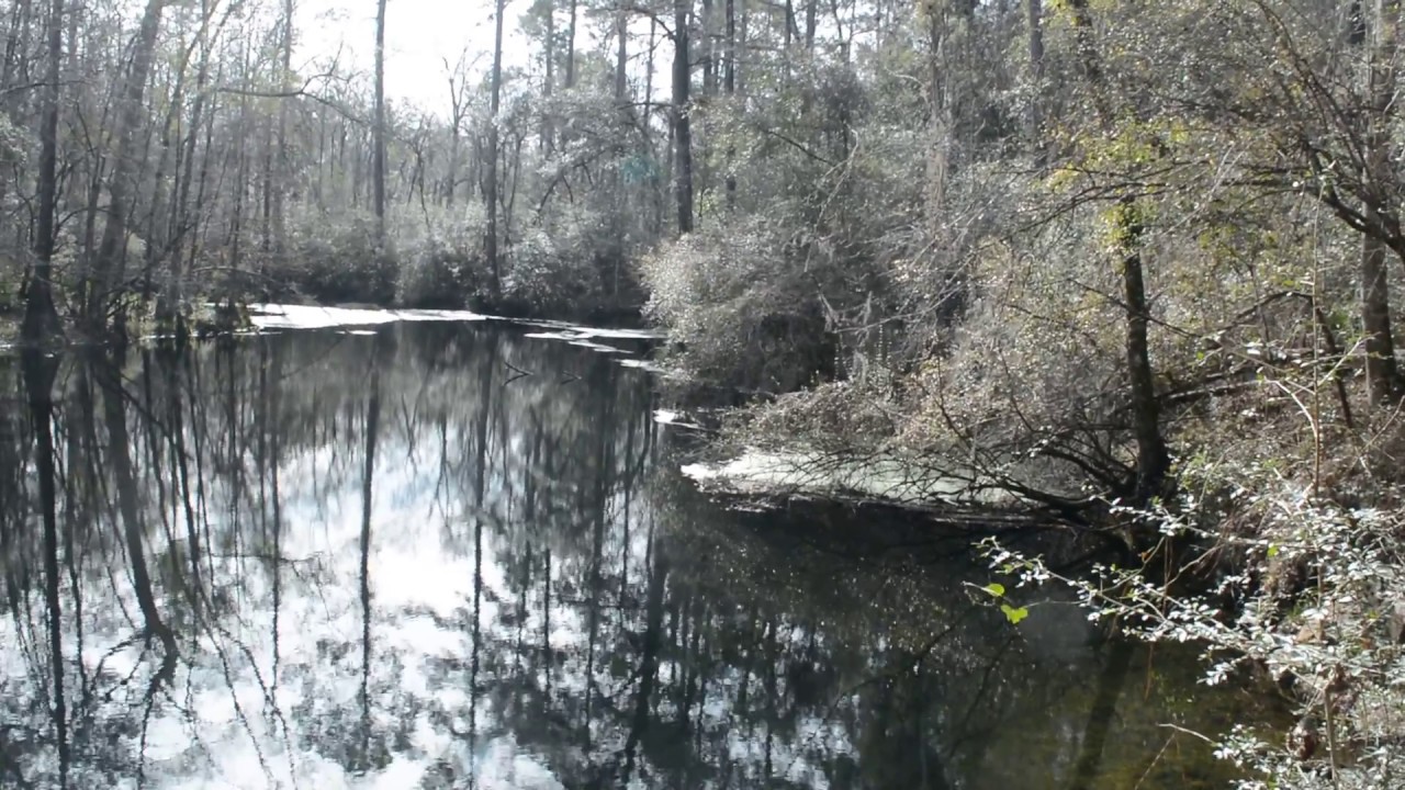 Upper River Sink Kini Sink Wakulla River Sinks Trail Tallahassee Florida