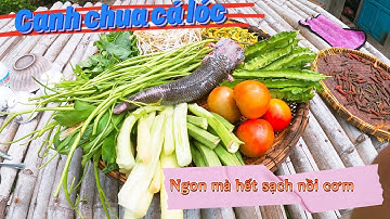 Bữa cơm quê với tô canh chua cá lóc, cái ơ cá lóc kho tiêu xanh ôi sao mà thèm cái vị quê nha. #P16