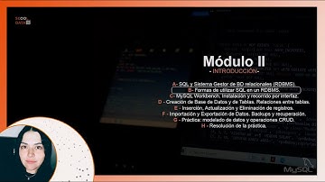 Curso de SQL | Modulo II - Parte B | Sentencias DDL, DML, DCL y TCL |  #dataanalytics #sql #mysql