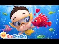 Swimming song  learning to swim for kids  liachacha nursery rhymes  baby songs
