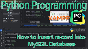 Python with MySQL Database - Insert record to database #python #coding #java #intellij #database