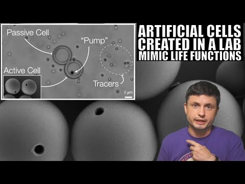 Tiny Balls Turn Into Artificial Cells Able to Mimic Life Functions