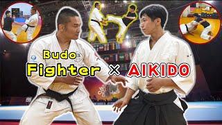 Former UFC Fighter experience the Aikido Master techniques. The last is sparring training!!