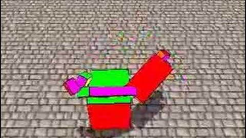 Evolution of Morphology and Behavior