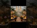 This Greenhouse Glow Up Will Shock You #beforeandafter #interiordesign #viral