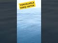 Sırtı çekerken Bizimle yarıştılar.