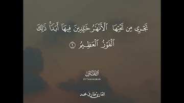 -🌟   』✵⇣🍁 سورة التغابن - Surah Al Taghabun - القارئ طارق محمد 🌿🌷-