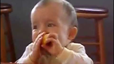 Top First Lemon Baby FUNNY! from www metacafe com