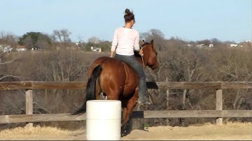 ItsaSkippityDoDaDay - Do-Da - bareback and bridle-less - Valley View Ranch