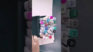 alcohol markers review  wait for it shorts subscribe
