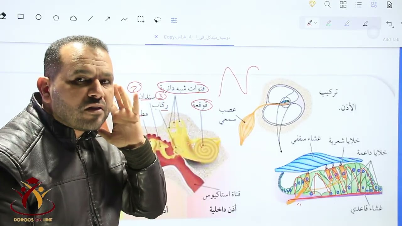 ف٢ الحصة 5 : المستقبلات الحسية ( السمعي)