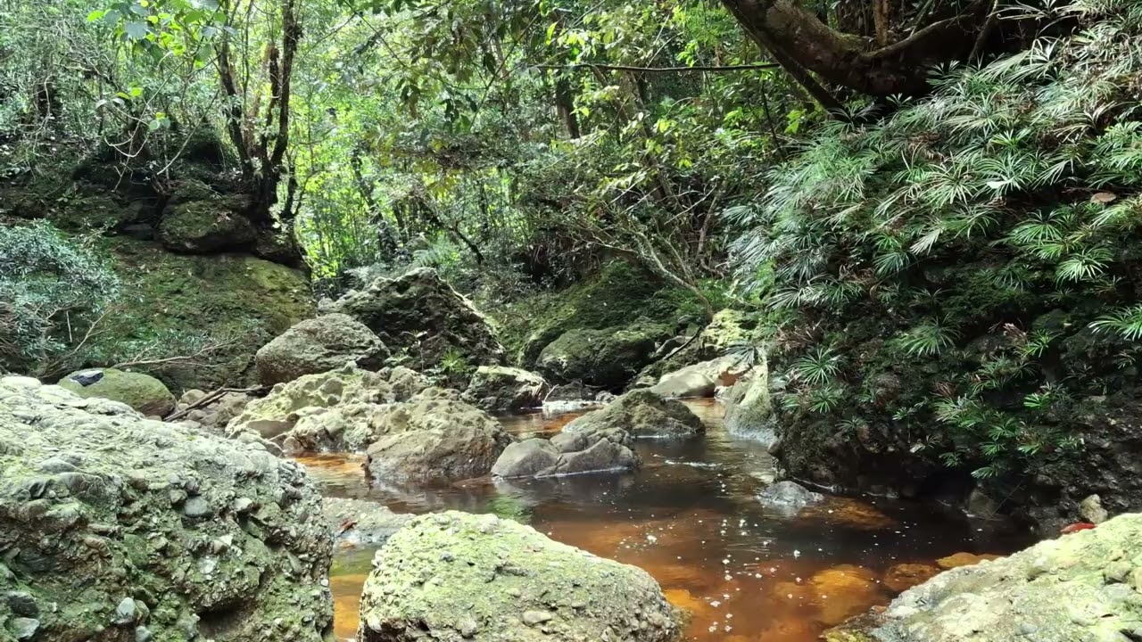 Ancient River Sounds for Deep Sleep | Calm Your Brain & Nervous System