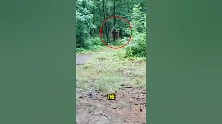 Top 5 Most Bizarre Unsolved Mysteries That Still Haunt Us! 😱🤯