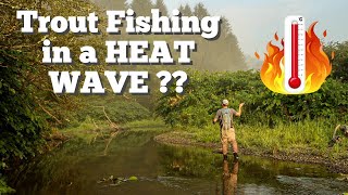 Download Lagu 10 TIPS To Beat the Heat / Fly Fishing- Central, NY MP3 Download Lagu 10 TIPS To Beat the Heat / Fly Fishing- Central, NY MP3