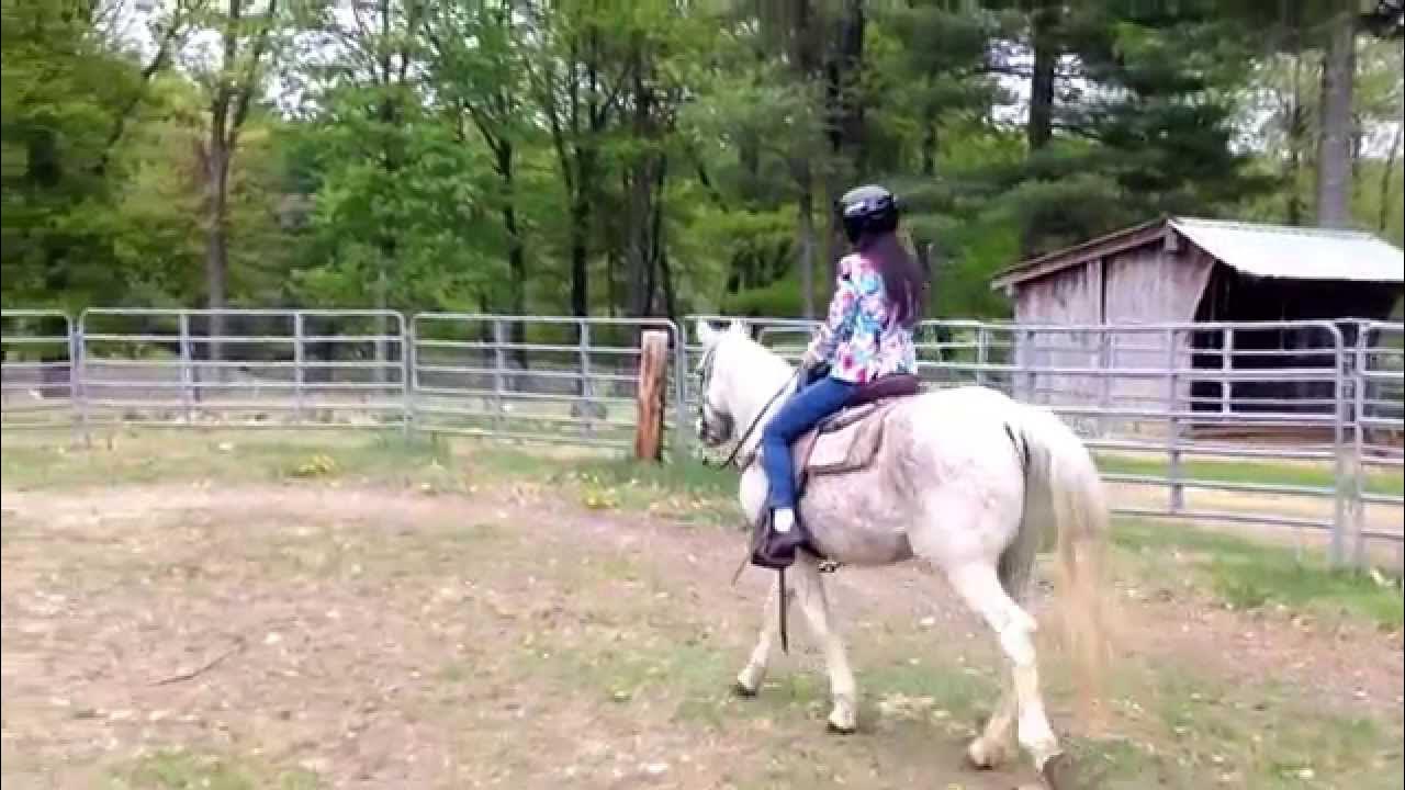 Horseback Riding at Bobby's Ranch Massachusetts YouTube