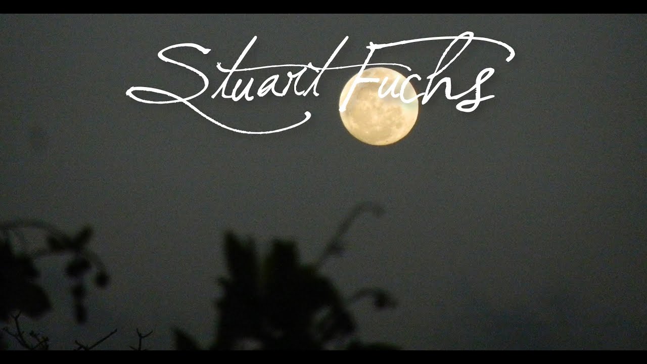 Stuart Fuchs Stuart Fuchs -