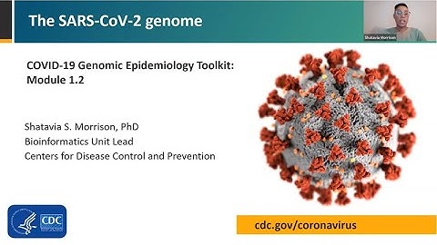 Module 1.2 - The SARS-CoV-2 genome