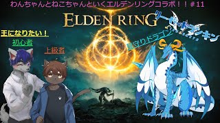 突発！！！マレニア三連戦！！！　カンストが近いのだ～～！！