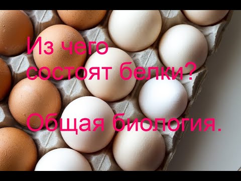 Белки.Аминокислоты.  Общая  биология.