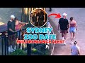 Taylor Swift & Travis Kelce's Zoo Adventure Date Before Eras Tour 🦁💕