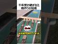 千年受け継がれた橋造りの知恵#shorts