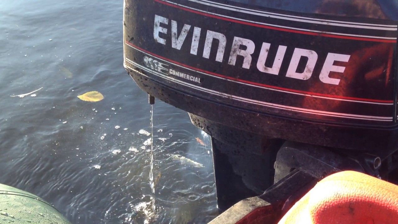 Evinrude 8 Ps 2Takt YouTube Evinrude 8 Ps 2Takt YouTube