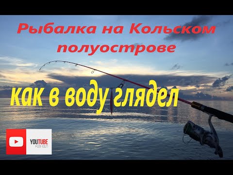 Рыбалка на Кольском полуострове. Поплавочная ловля. Ловля сига на реке.