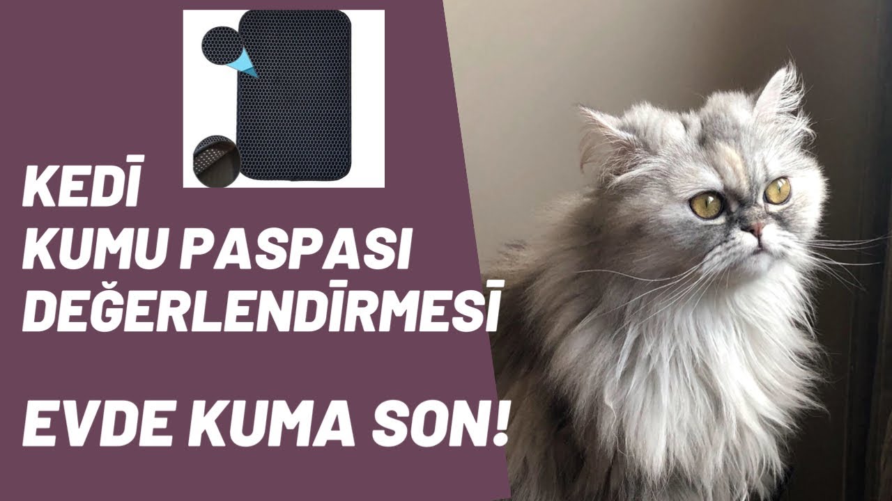 kedi tuvaleti temizliginde super bir yontem buldum youtube