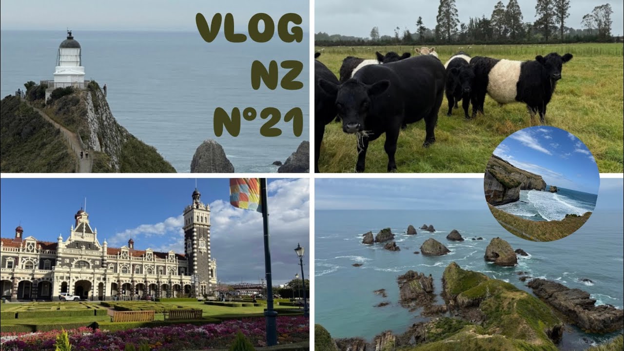 Vlog NZ n°21 : Au revoir Mamoune 🥲💞