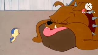 Looney Tunes - Father of the Bird (1997) (Original Theatrical Version)