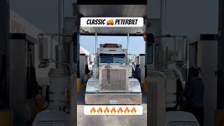 CLASSIC PETERBILT 🚚 Classic Truck around USA  #classictrucks #peterbilttrucks #truckdriver #shorts
