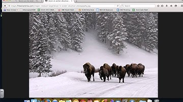 ThingLink   adding a picture