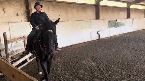 Entry 6089- LC-INT4-A - Introductory Level, Test 4 - Championship Amateur