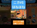 ニカVSほねほね #ゲーム実況 #バウンティラッシュ #ワンピース #ブルック