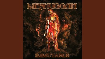 Thumbnail of Phantoms