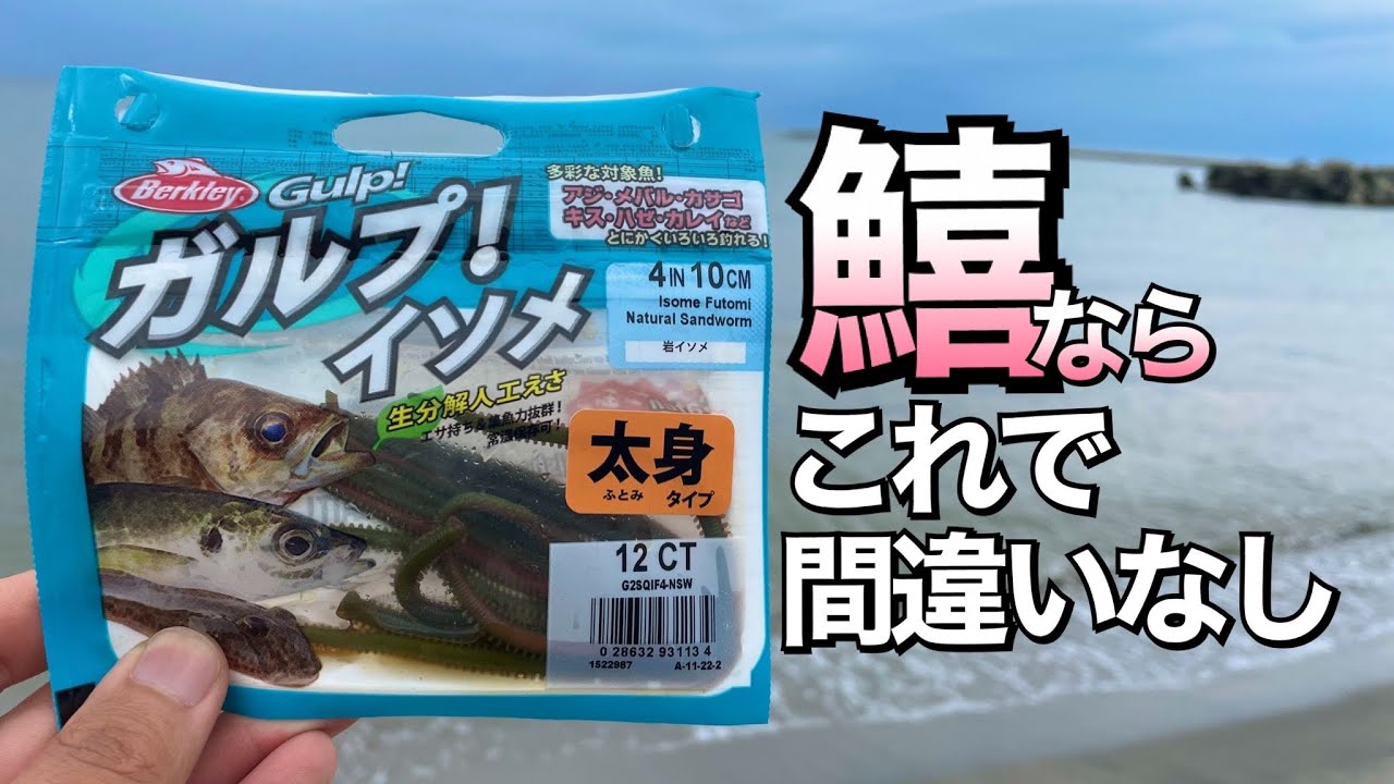 イソメが苦手な人必見 ガルプイソメでちょい投げ キス釣りしてきたよ 新潟 釣り Youtube イソメが苦手な人必見 ガルプイソメでちょい投げ キス釣りしてきたよ 新潟 釣り Youtube