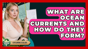 What Are Ocean Currents And How Do They Form? - Explaining Ecology