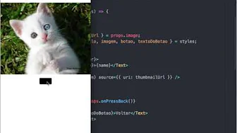 cursos/0003-pesquisa-de-imagens-react-native: Resumo do Curso Pesquisa de Imagens (App móvel c/ React Native)