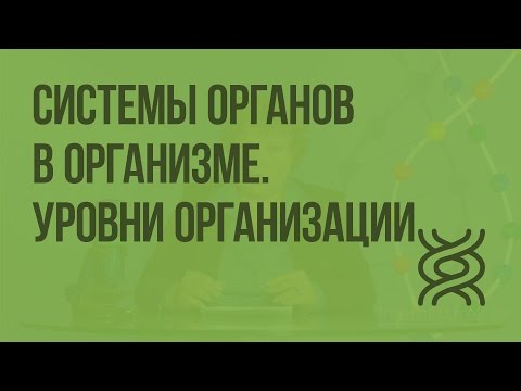 Системы органов в организме. Уровни организации. Видеоурок по биологии 8 класс