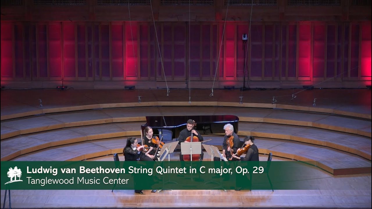 音楽療法 MUSIC AS THE BRIDGE BEETHOVEN String Quintet in C major, Op. 29 - TMC - YouTube