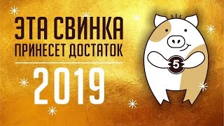 Милая свинка. Принесет в дом достаток. Нарисуй самостоятельно #corel Милая свинка. Принесет в дом достаток. Нарисуй самостоятельно #corel