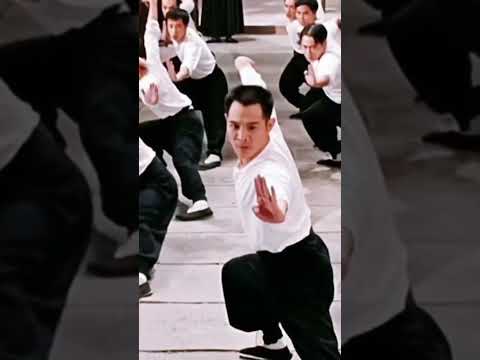 Learning Kung fu like jet li