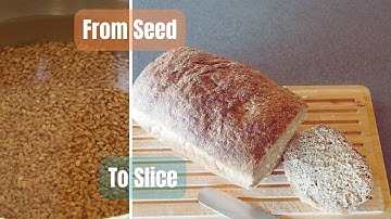 How to Make Sprouted Grain Bread