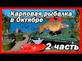 Ловля карпа в Октябре с корабликом Часть 2